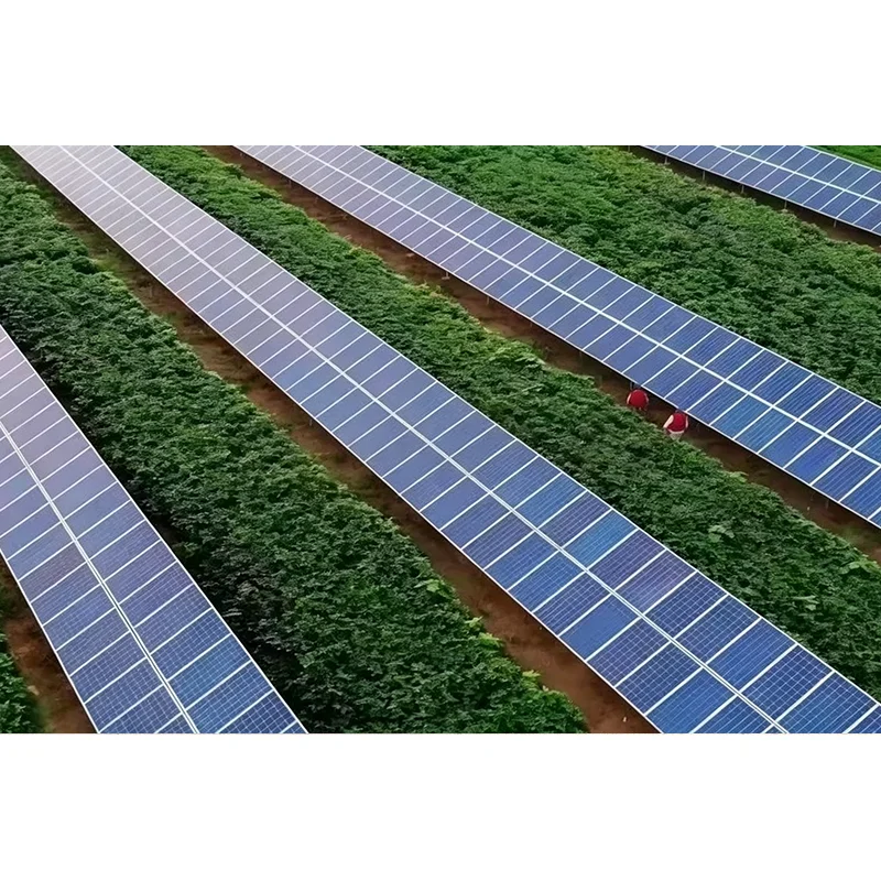 Kako solarni montažni nosilec podpira zanesljivo solarno namestitev?